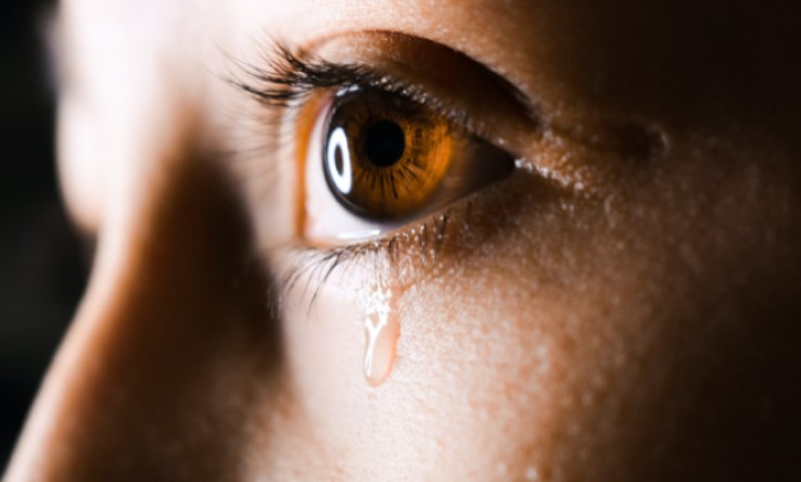 image of lady's tear