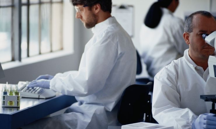 Scientists conducting research in laboratory