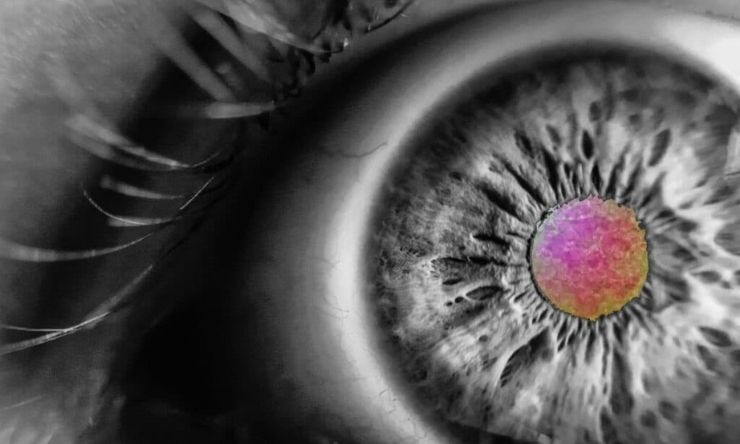 Close up image of an eye scan