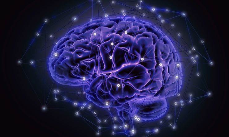Image of an animated human brain