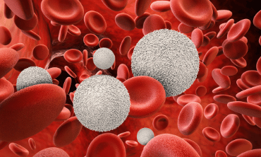 3D rendering of white blood cells with red blood cells