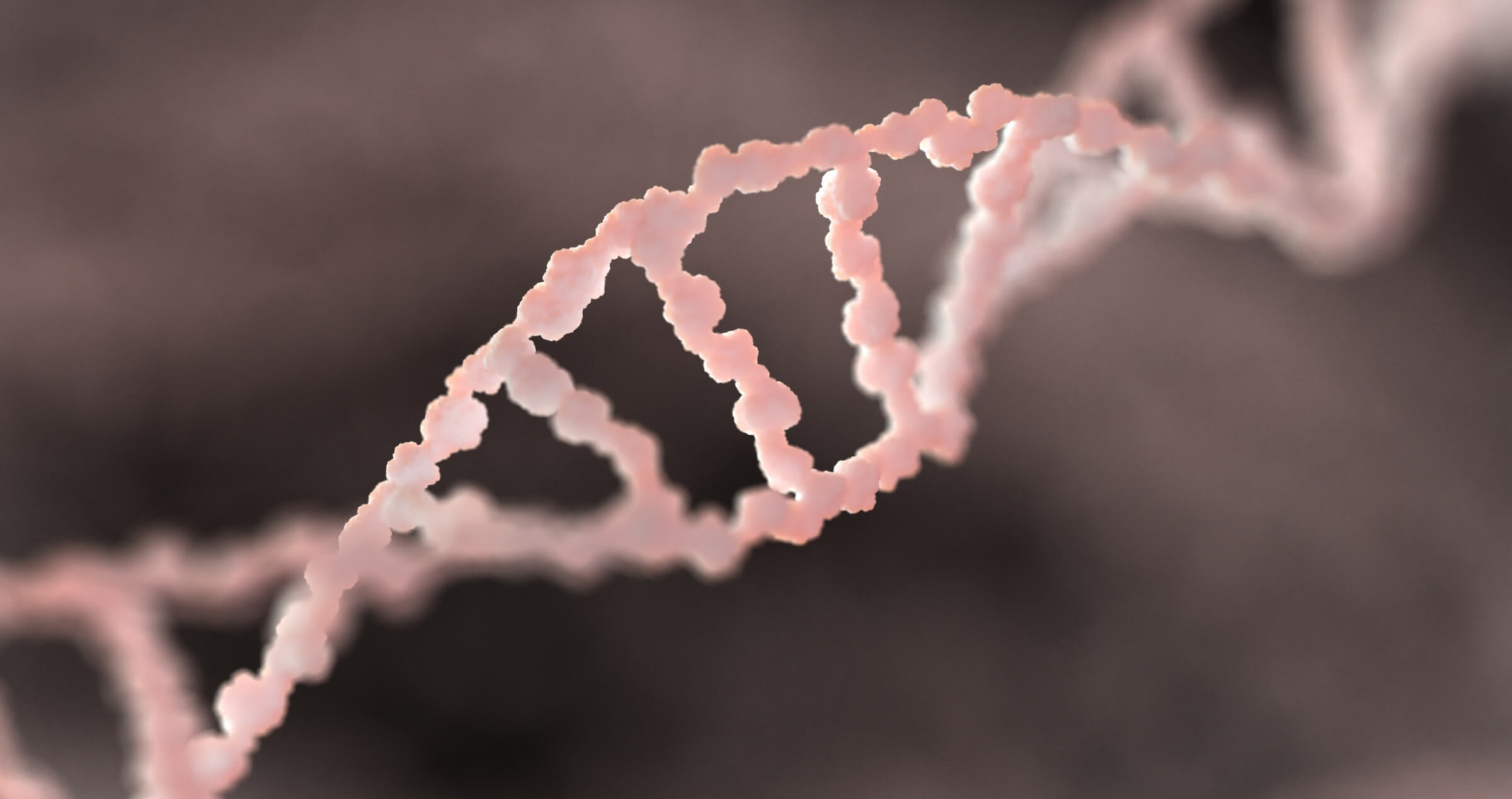 Image of DNA double helix