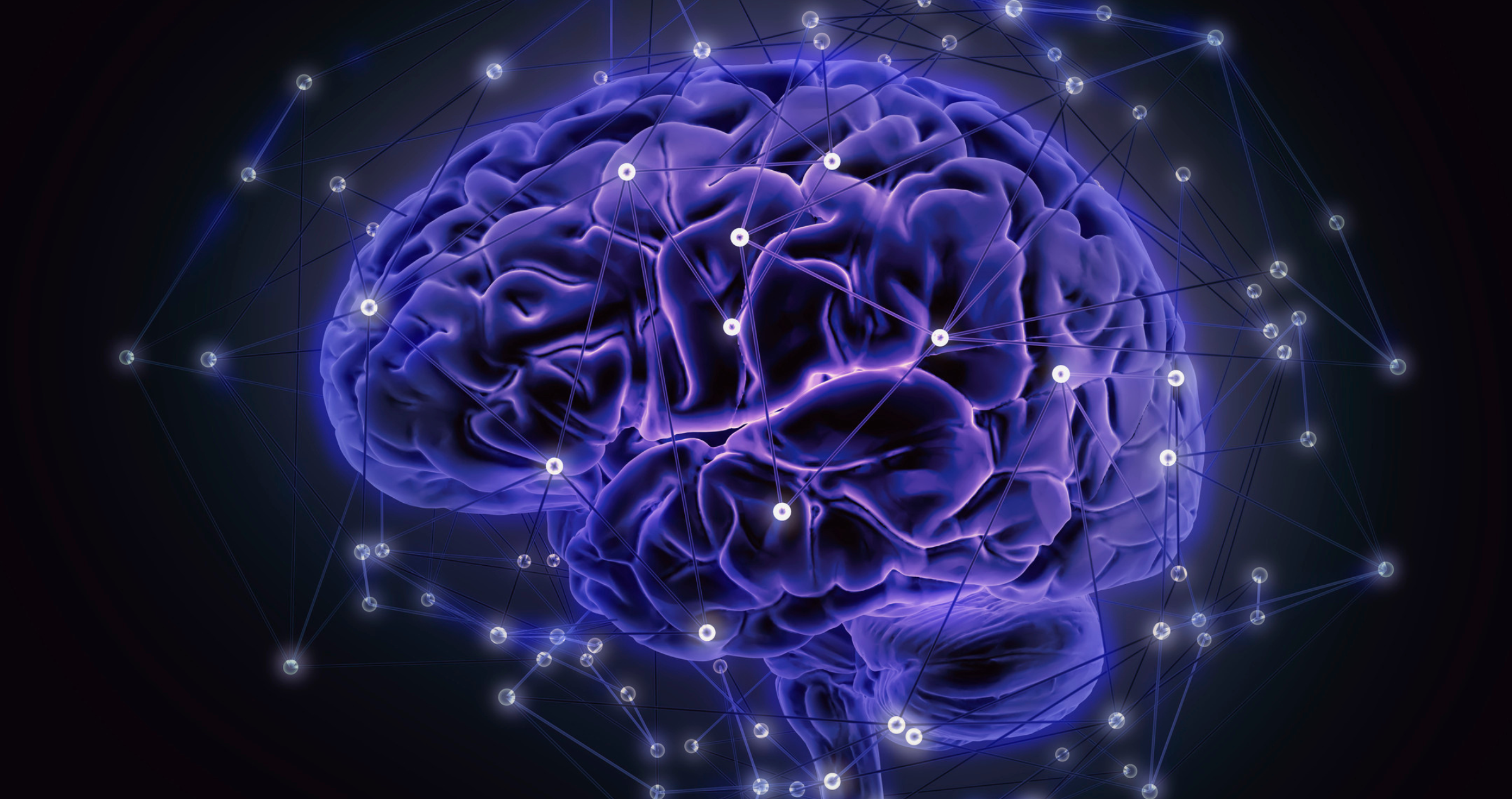 Image of an animated purple brain