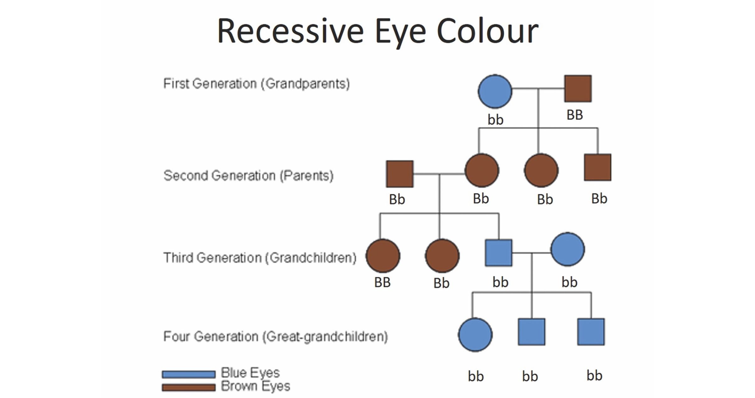 Image of flow chart showing recessive and dominant eye factors