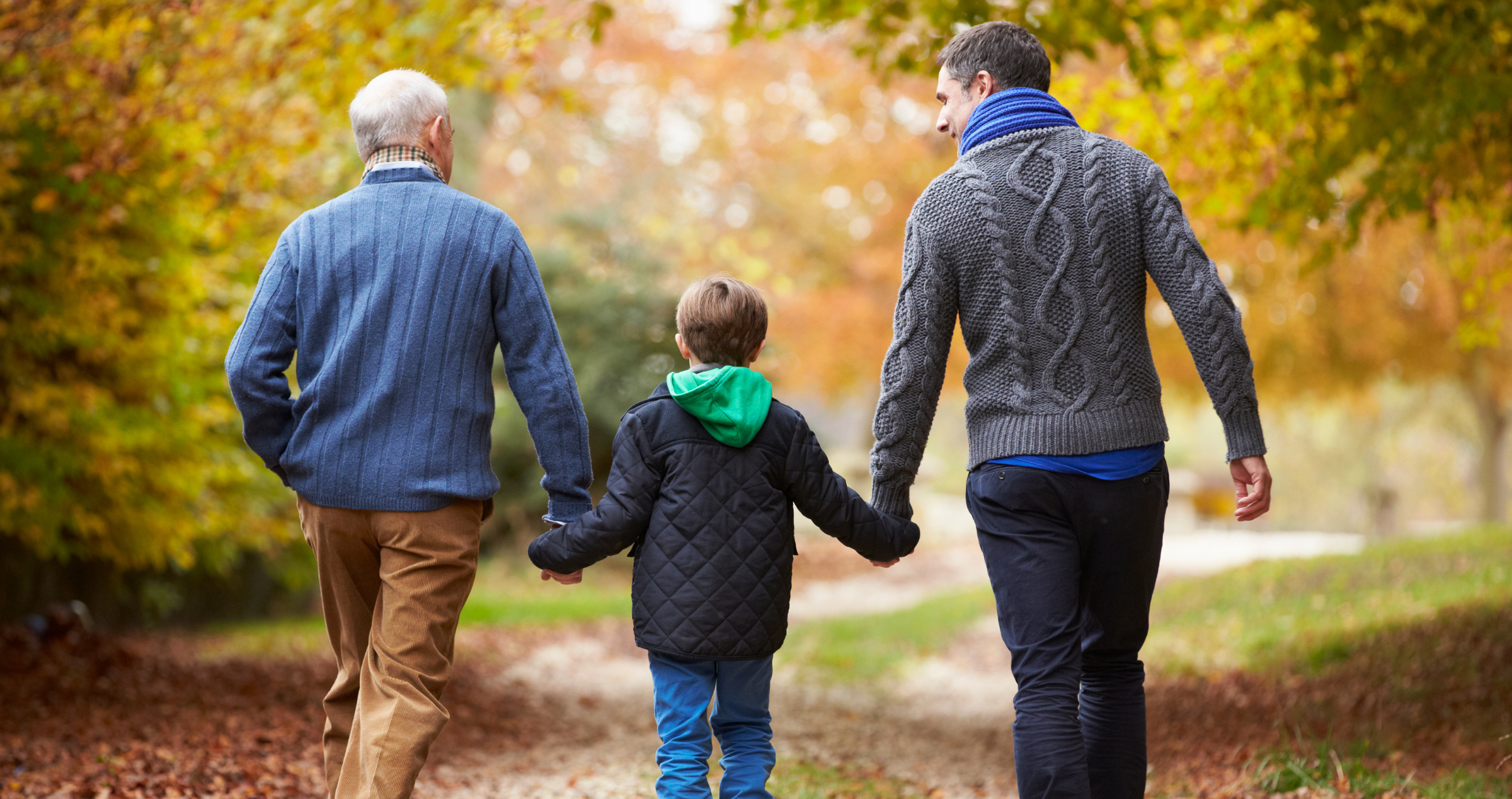 Image of three family members holding hands and walking in nature