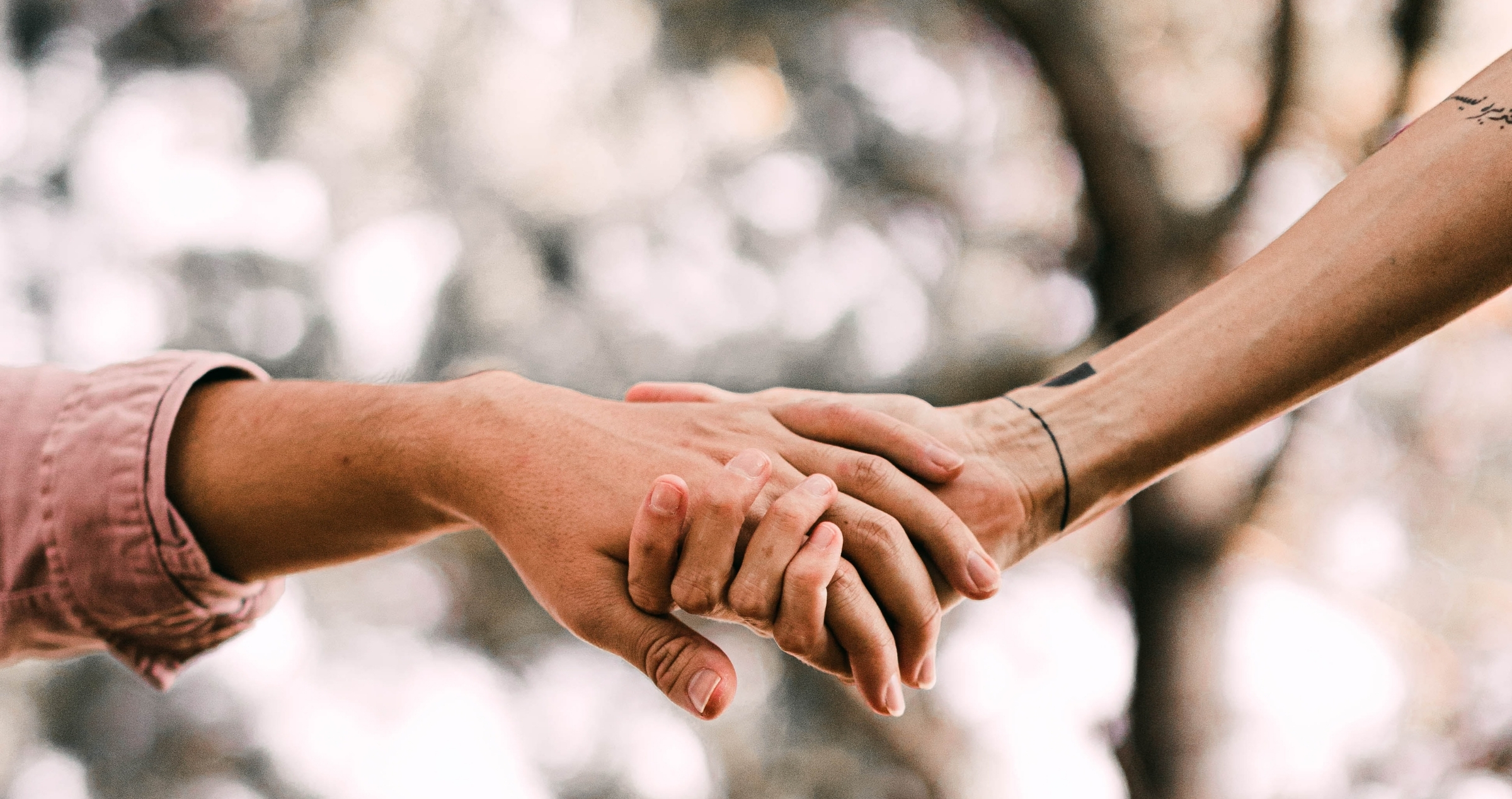 Image of two arms and hands touching in caring and united way