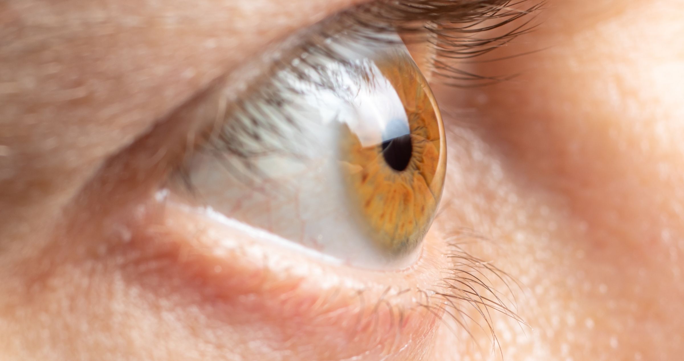 Close up image of an eye profile