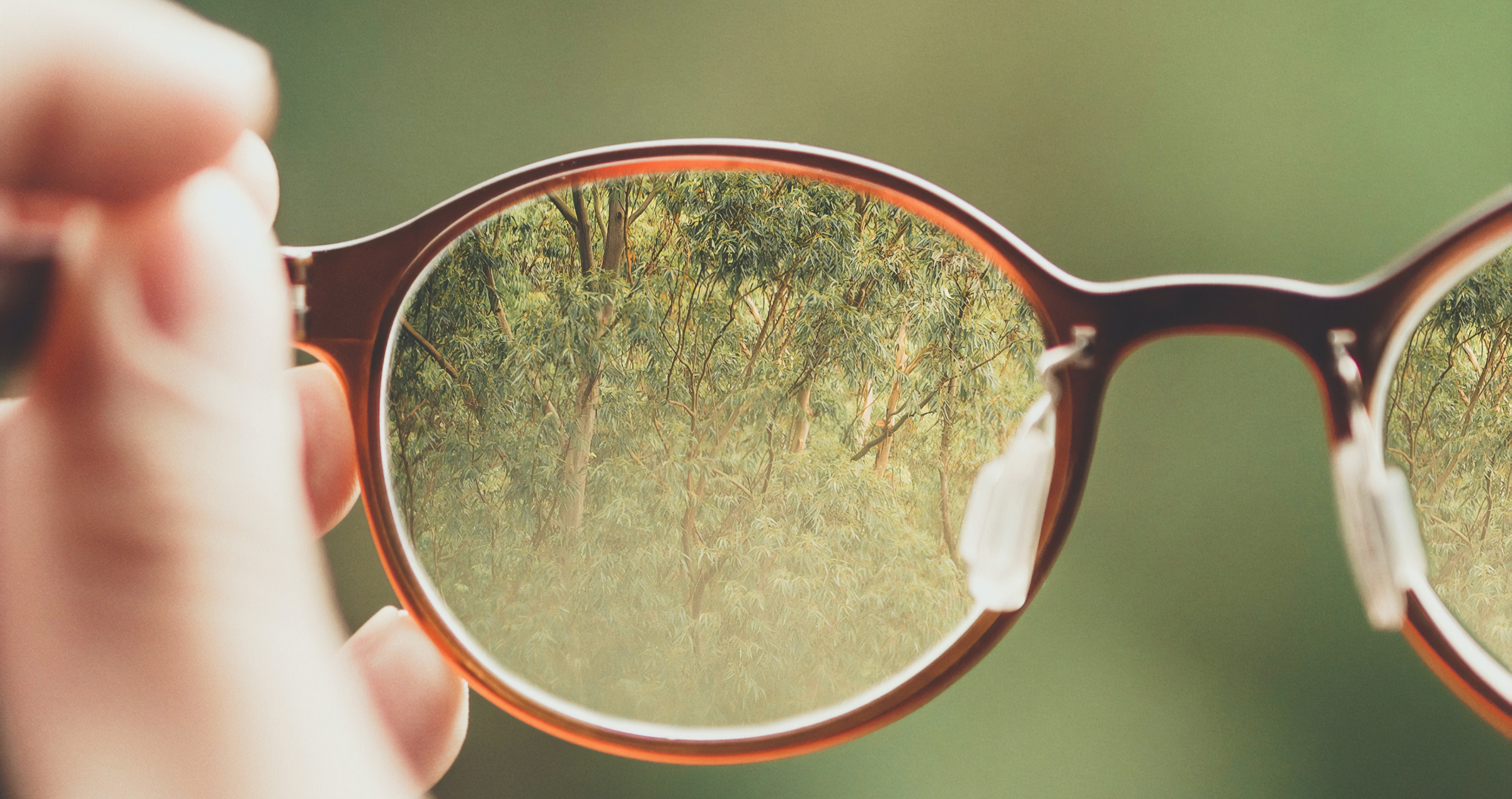Image of glasses held by someone's left hand. The glasses are directed towards a green background. From the left lens you can see trees in the background. The right lens is blurry. 
