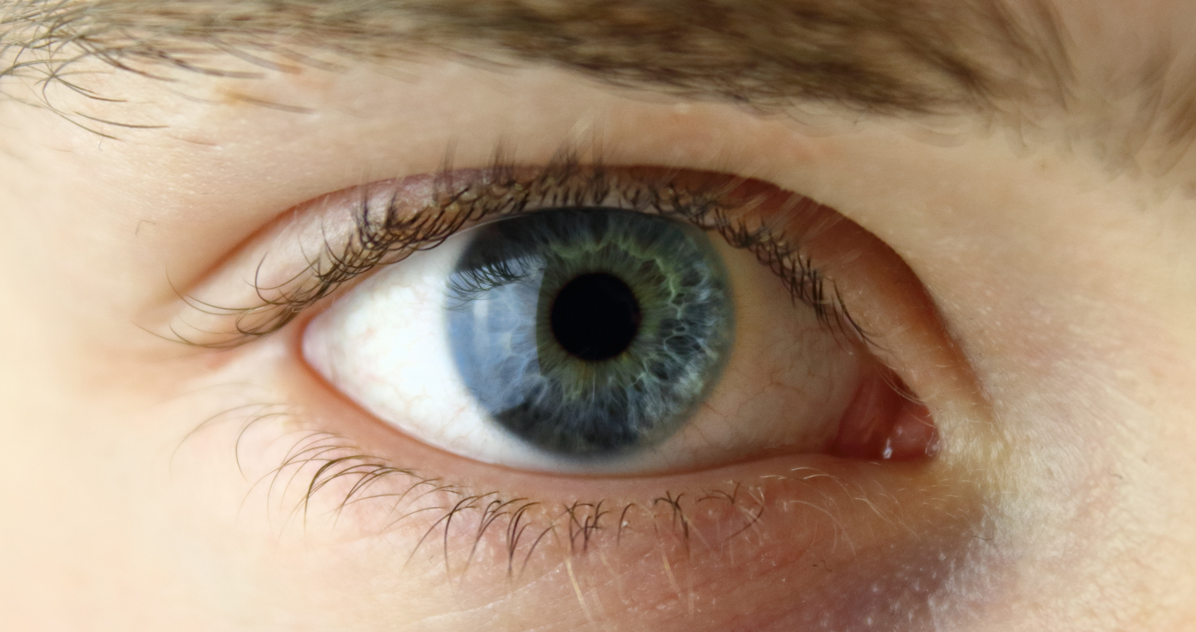 Closeup image of an eye