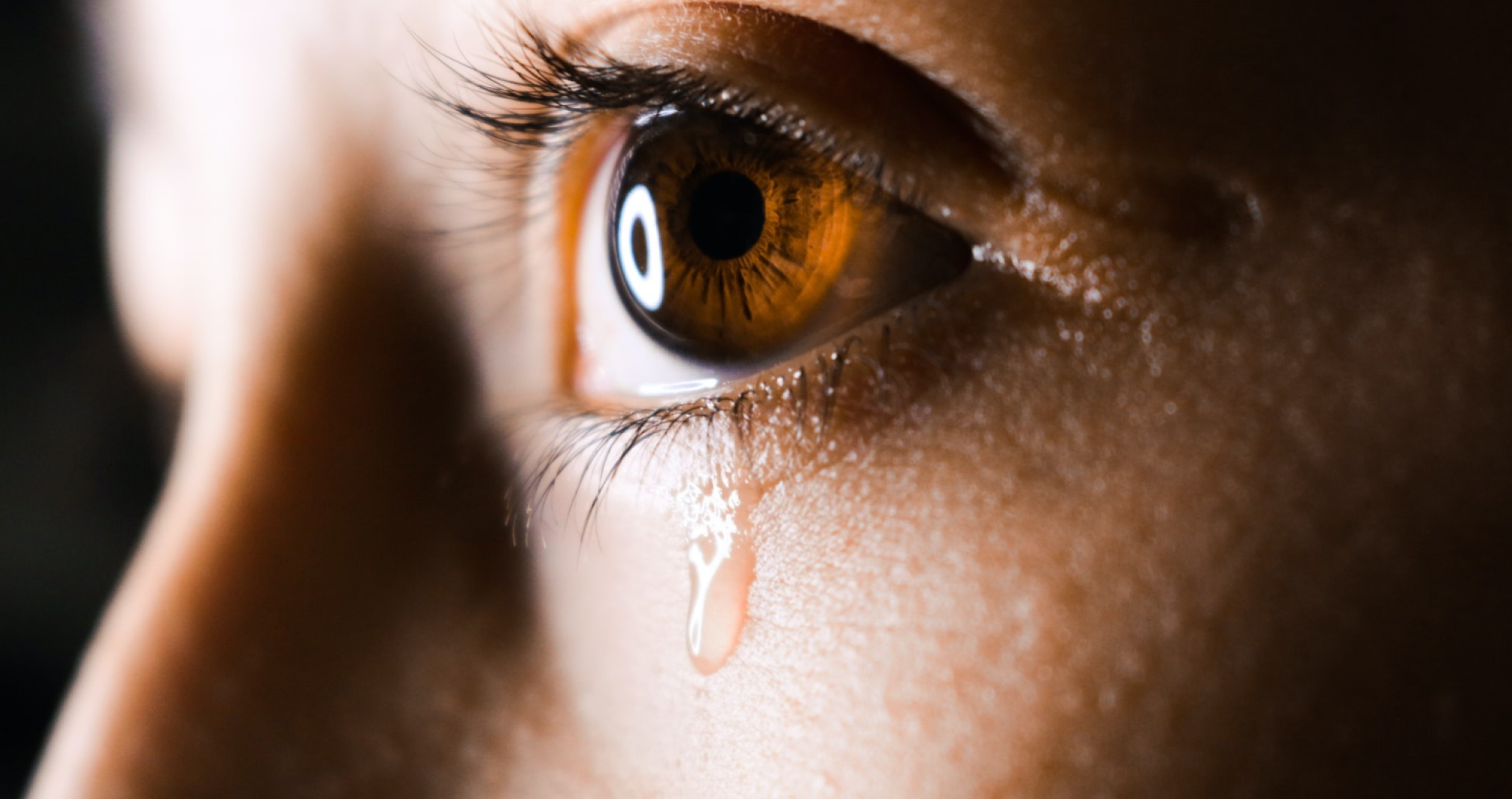 image of lady's tear