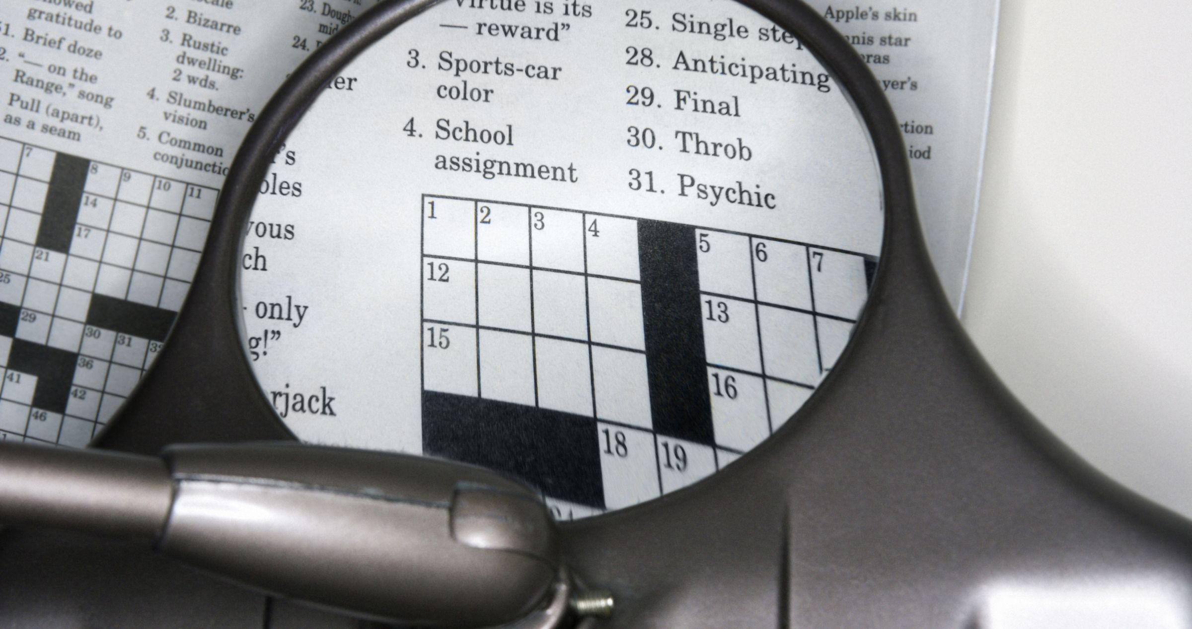 Reading device showing magnified crossword page